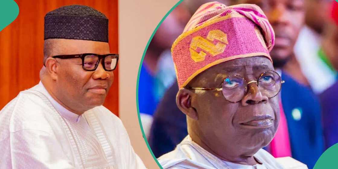 The Senate President - Nigeria, Bola Tinubu, Akpabio The Senate President - Nigeria, Bola Tinubu, Akpabio