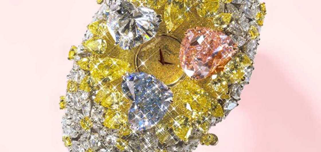The most expensive watch The most expensive watch
