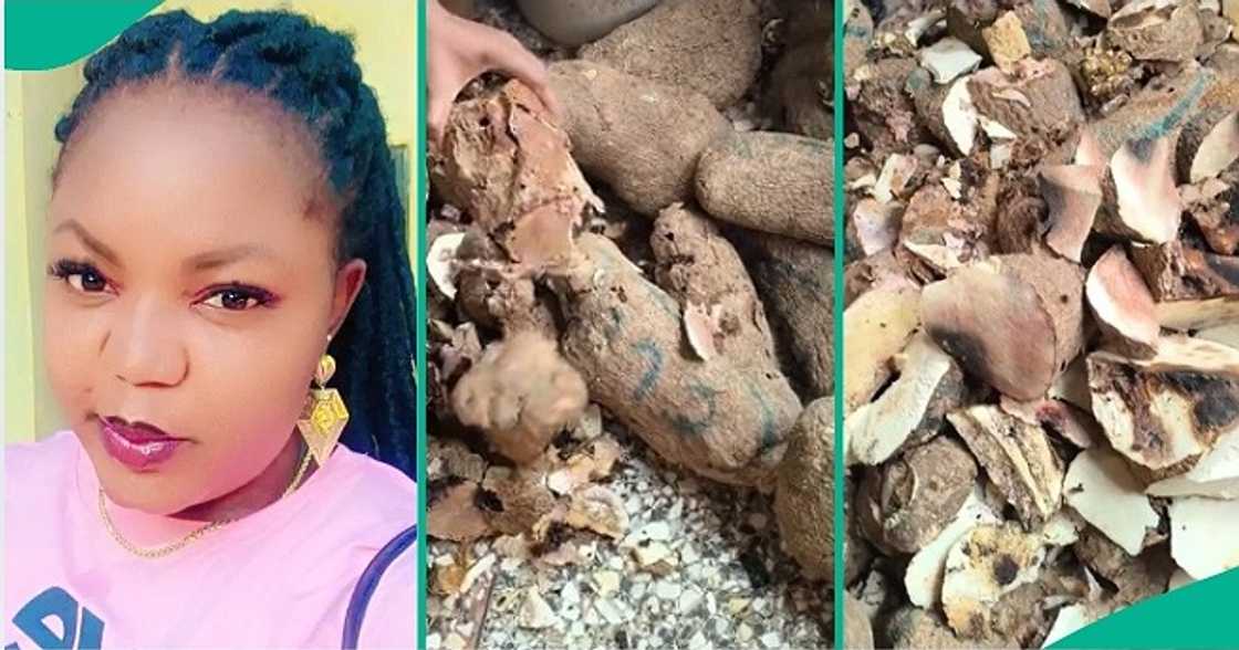 Lady finds out yams are rotten inside Lady finds out yams are rotten inside