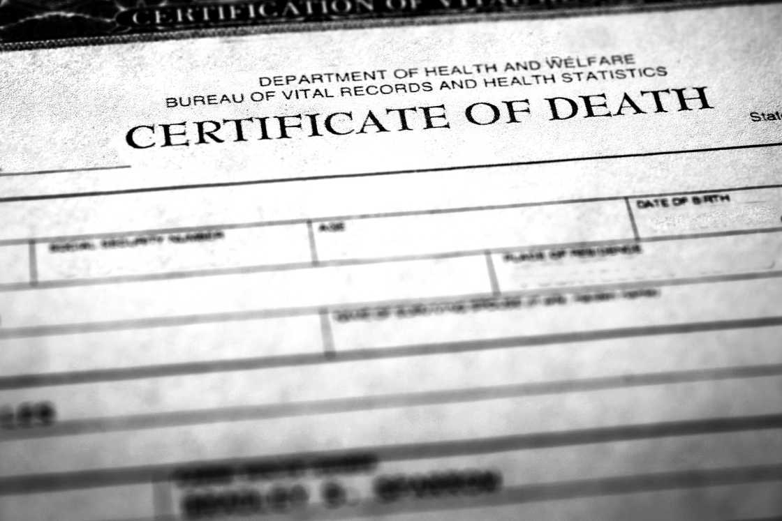 Closeup of a death certificate Closeup of a death certificate