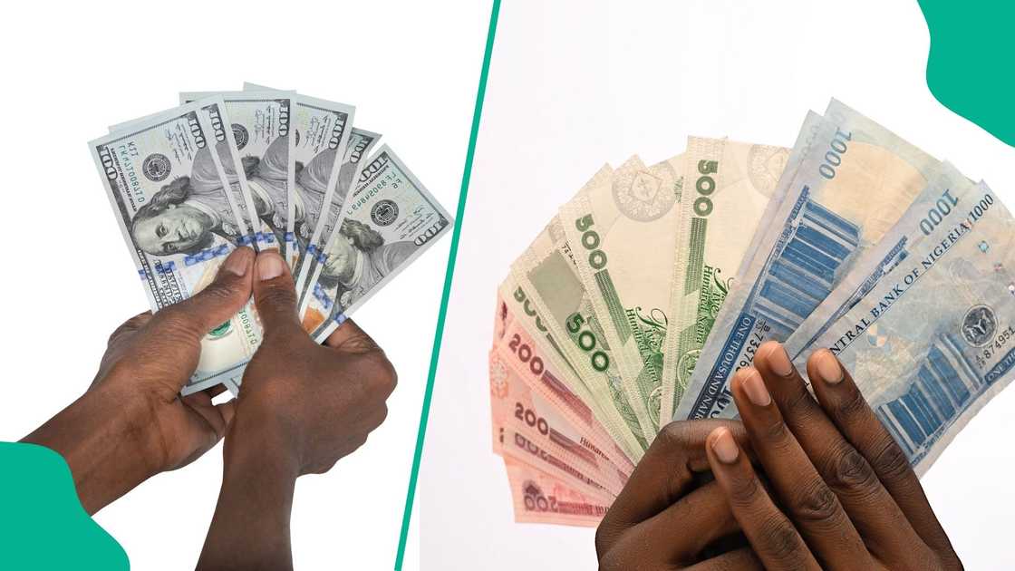 The CBN has issued final operating licences to 82 Bureaux De Change in line with its updated regulatory framework
The bank advised the public to verify authorised operators on its website to avoid illegal forex dealers, and The CBN has issued final operating licences to 82 Bureaux De Change in line with its updated regulatory framework
The bank advised the public to verify authorised operators on its website to avoid illegal forex dealers, and