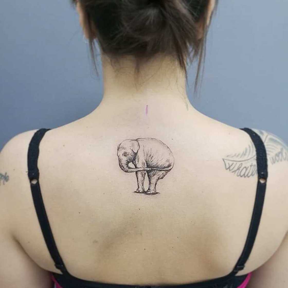 Elephant tattoo simple idea Elephant tattoo simple idea