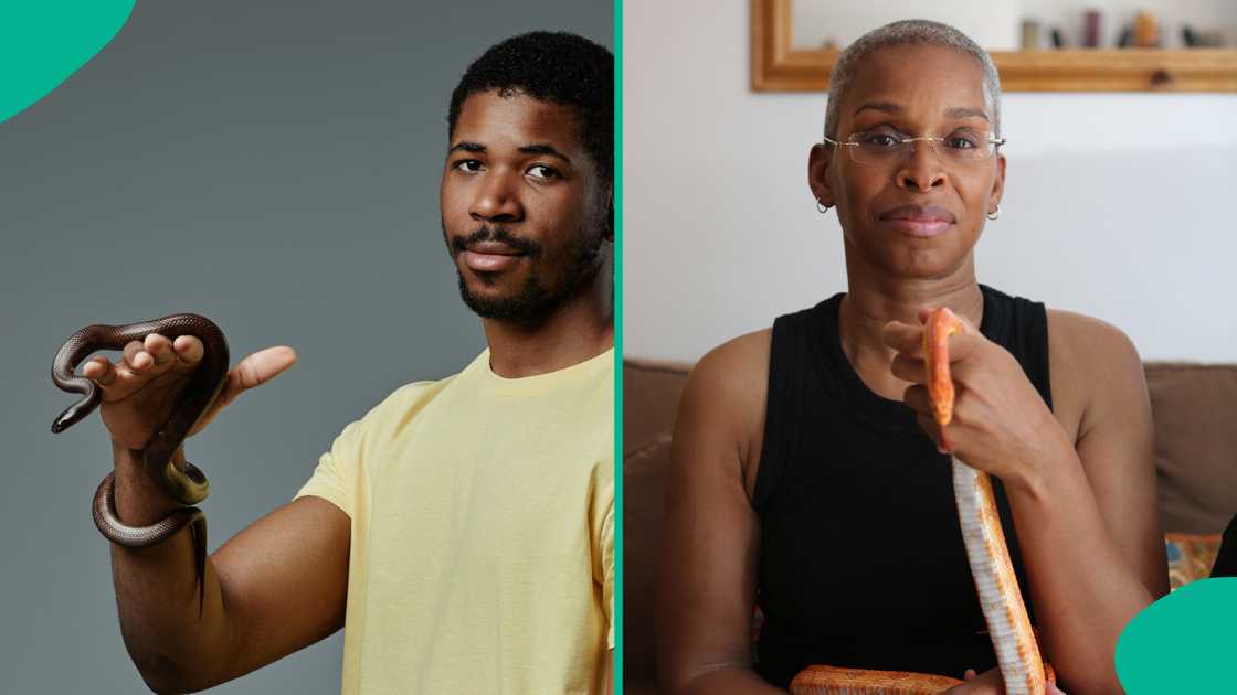 Snakebite victims face high antivenom costs, fuelling preventable deaths nationwide.