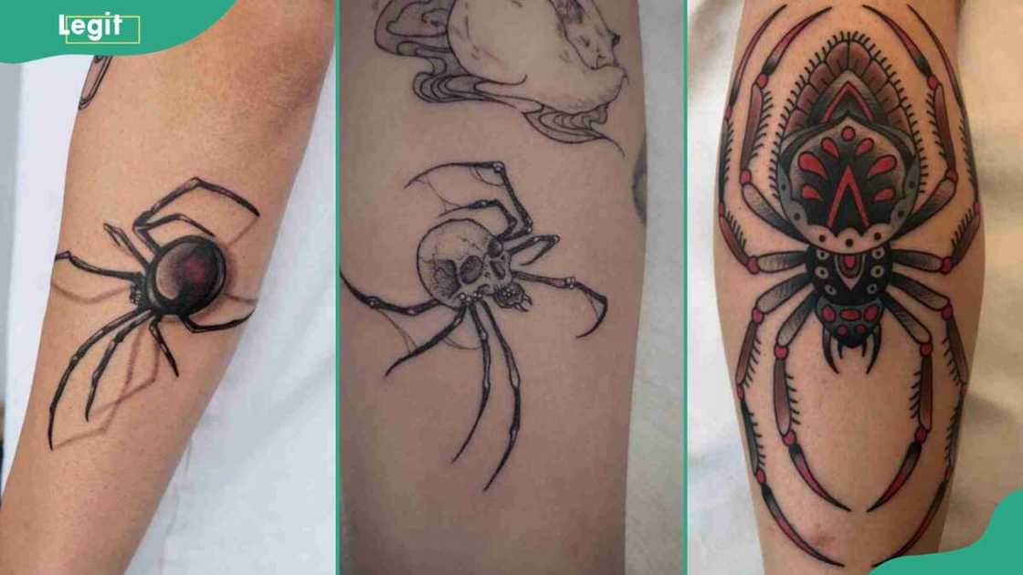 Spider tattoos