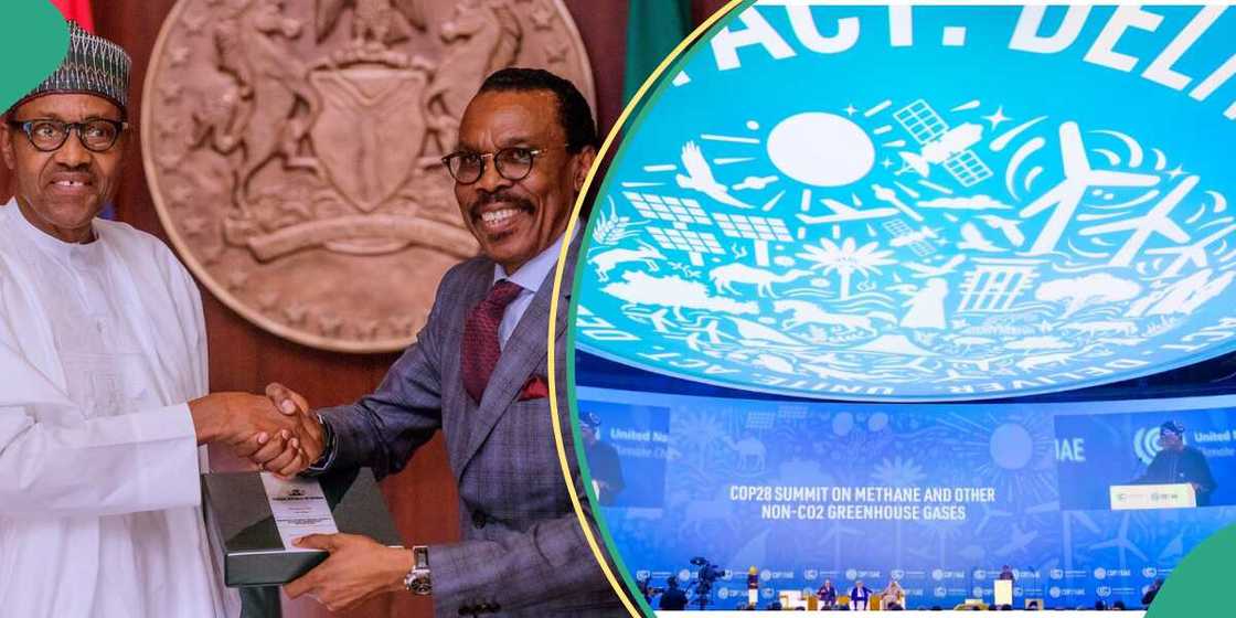 Bismarck Rewane Bismarck Rewane