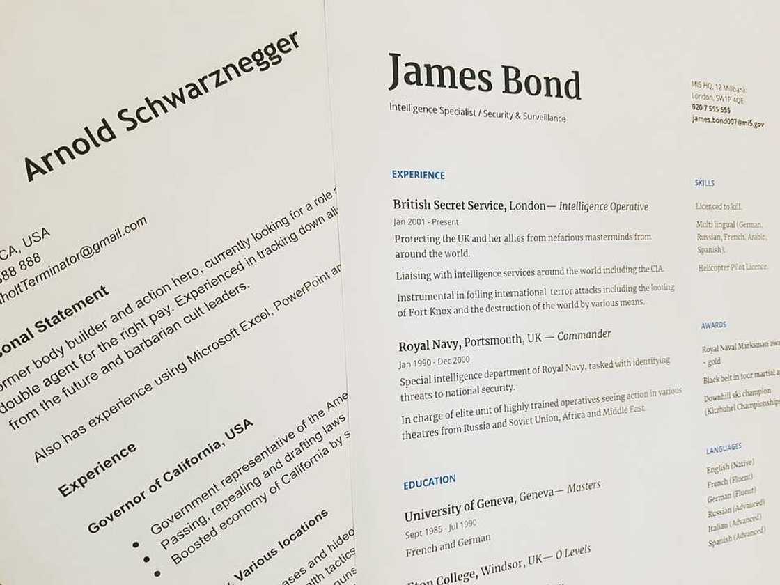 Resume examples