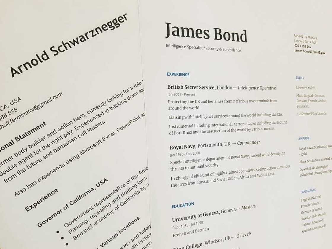 Resume examples Resume examples