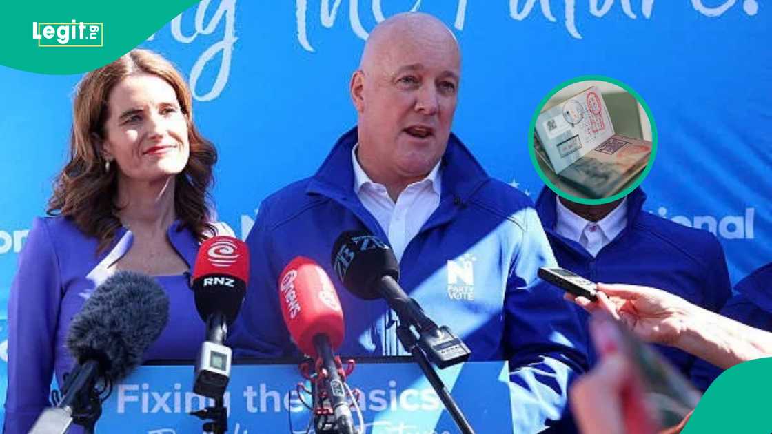 New Zealand mentions steps to obtain employer-sponsored work visa