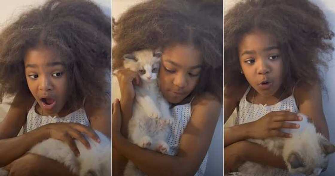 Little girl sings Rihanna's song, Diamond Little girl sings Rihanna's song, Diamond