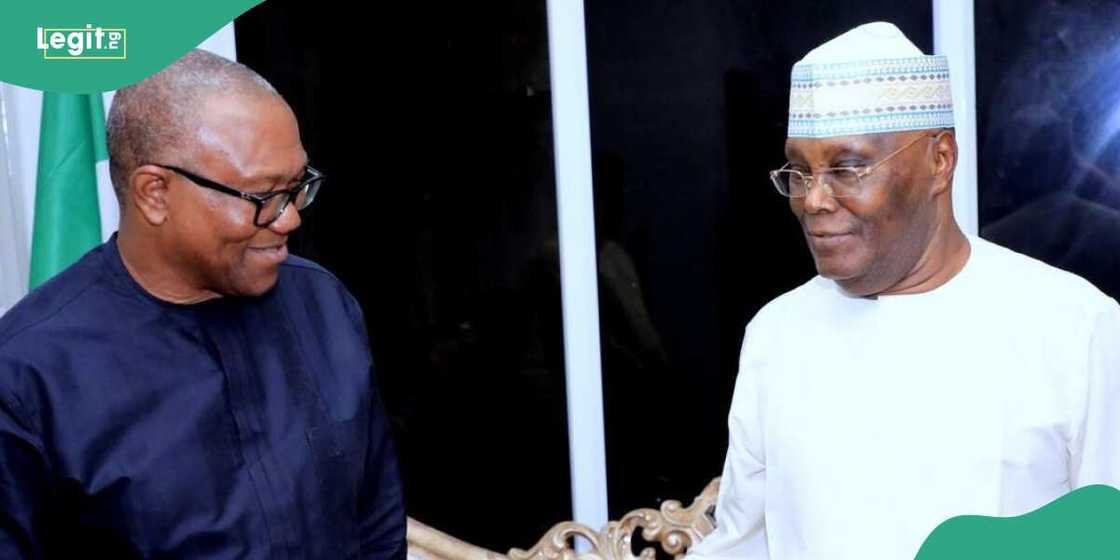 2027: Tinubu's govt reacts to possible merger between Atiku and Obi 2027: Tinubu's govt reacts to possible merger between Atiku and Obi