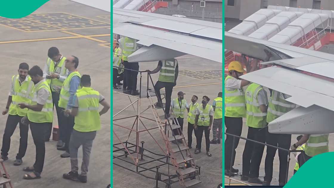 Ground crew removes bird nest from wing of Air India plane. Ground crew removes bird nest from wing of Air India plane.