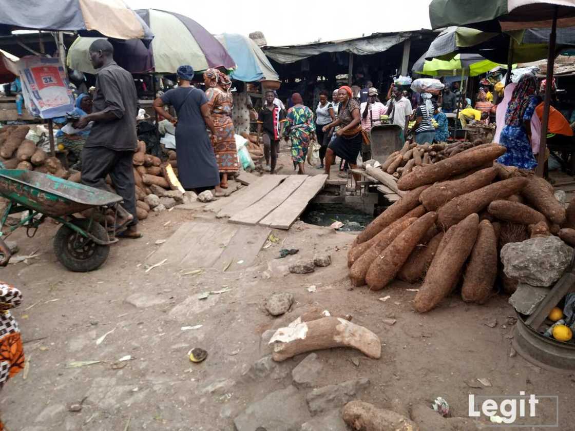 Yam is also very expensive and the size determine its affordability. Photo credit: Esther Odili Yam is also very expensive and the size determine its affordability. Photo credit: Esther Odili