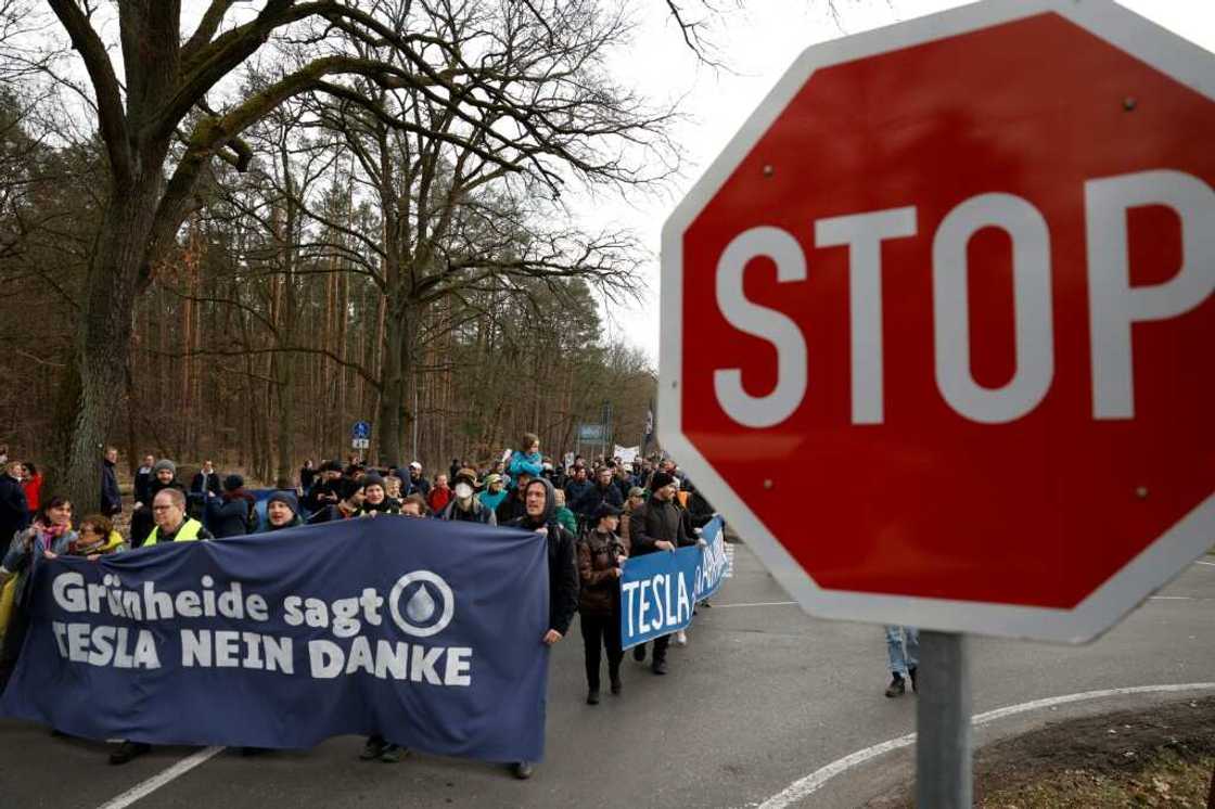 Sunday's protest was organised by a coalition of environmental protection groups including Extinction Rebellion, Nabu and Robin Hood Sunday's protest was organised by a coalition of environmental protection groups including Extinction Rebellion, Nabu and Robin Hood
