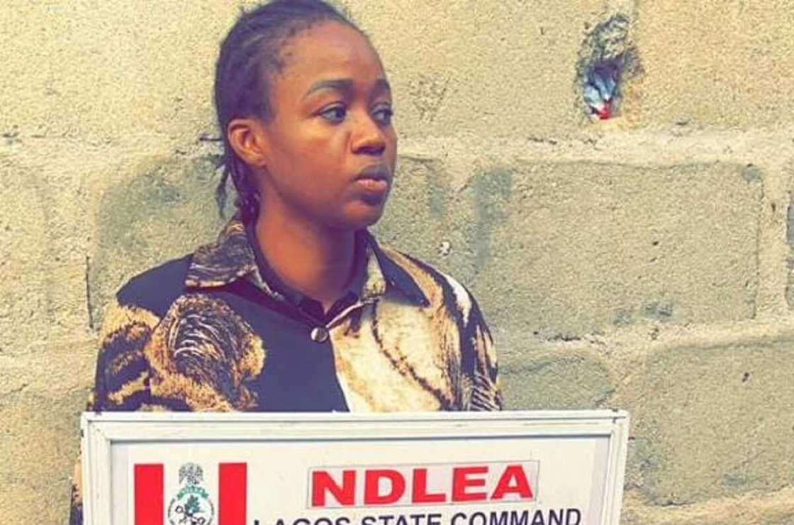 NDLEA Ta Yi Nasarar Cafke Wata Lauya Da Miyagun Kwayoyi NDLEA Ta Yi Nasarar Cafke Wata Lauya Da Miyagun Kwayoyi