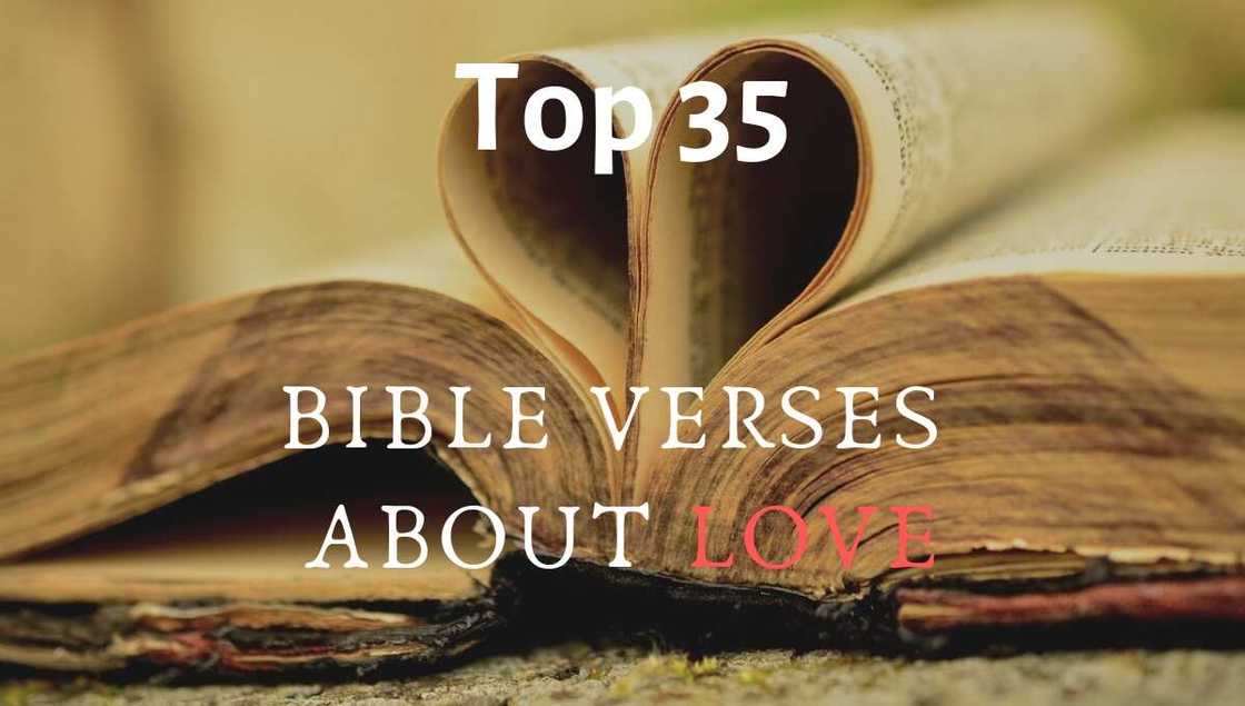 Bible verses about love Bible verses about love
