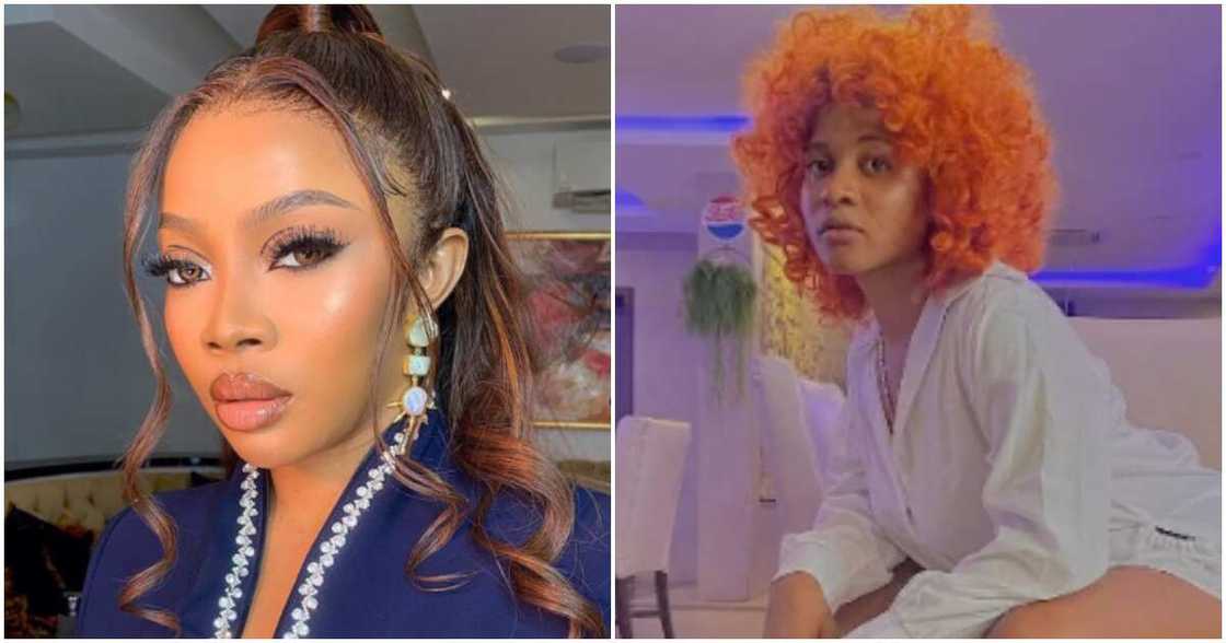 Media personality Toke Makinwa and BBN's Phyna Media personality Toke Makinwa and BBN's Phyna
