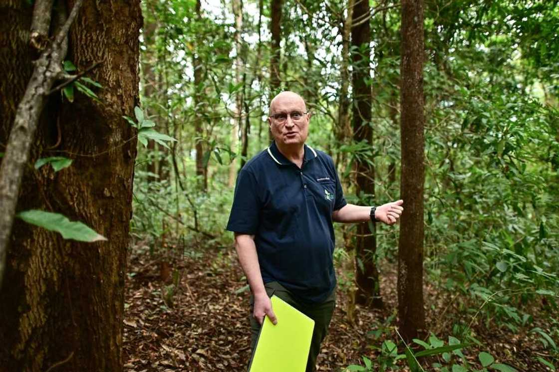 Researcher Steven Elliott and his team use drone photos to make 3D models that reveal a woodland's health and help estimate how much carbon it can absorb