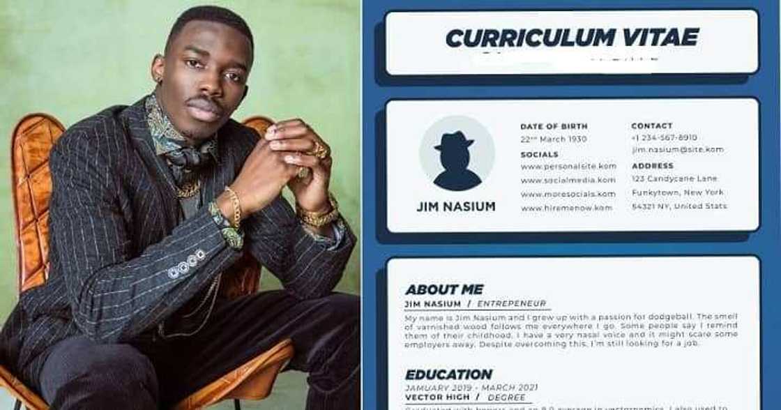 Man warns against using a colourful resume format Man warns against using a colourful resume format