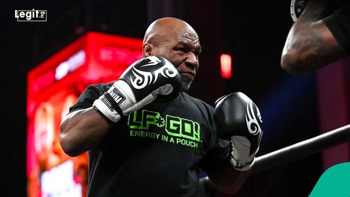 Mike Tyson, Floyd Mayweather, Boxing, US, Roy Jones Junior, Logan Paul.
