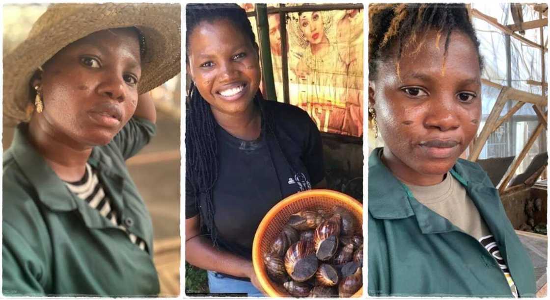 Ajoke Lawon became a snail farmer in 2016. Ajoke Lawon became a snail farmer in 2016.