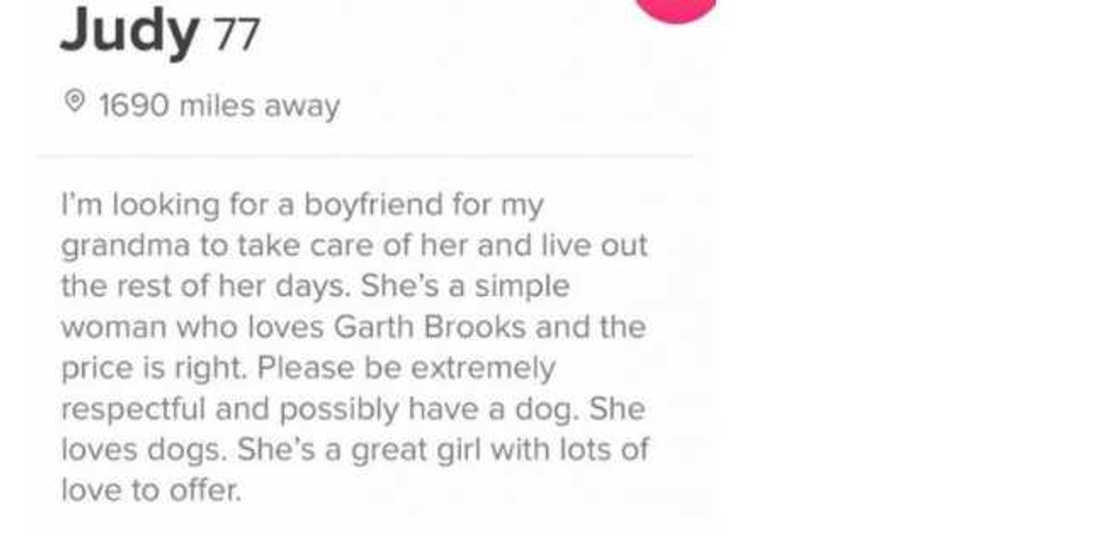 funny dating profiles funny dating profiles
