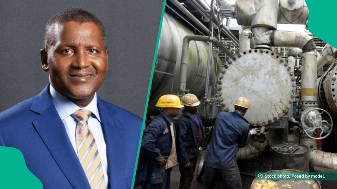 Crude-for-naira: Local refineries lament as policy favours only Dangote Crude-for-naira: Local refineries lament as policy favours only Dangote