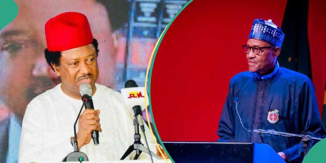 Shehu Sani spoke on insecurity and economy Shehu Sani spoke on insecurity and economy
