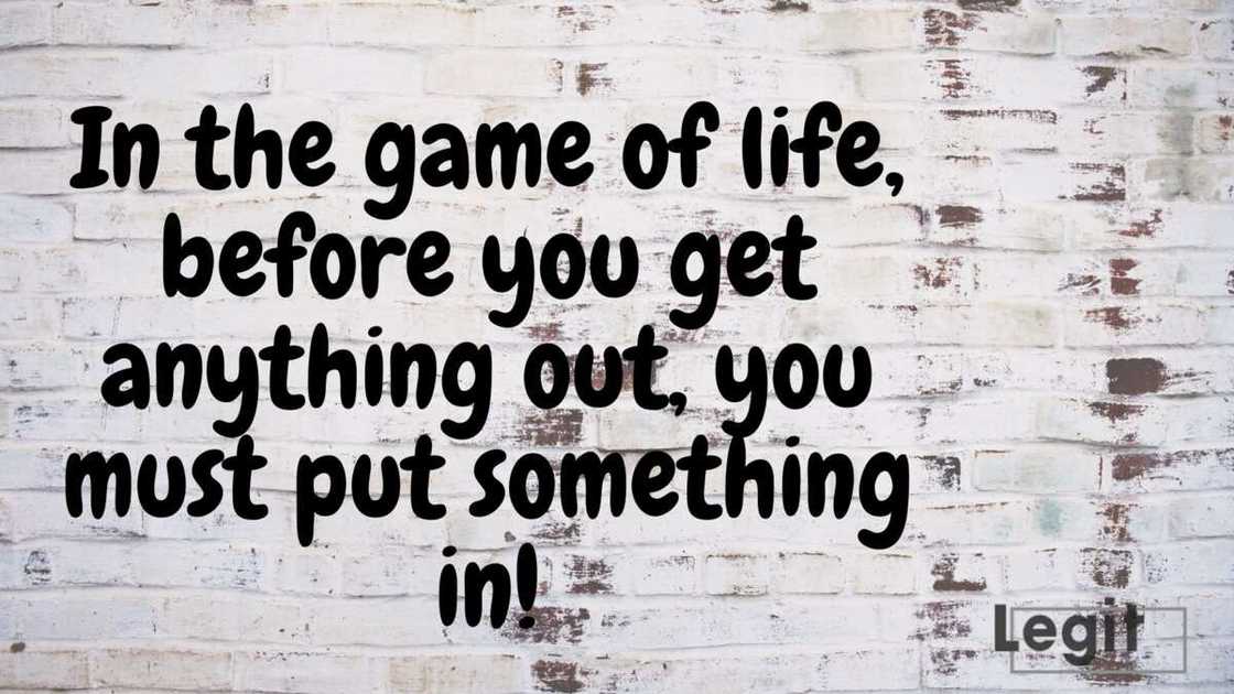 Zig Zigler see you at the top Zig Zigler see you at the top