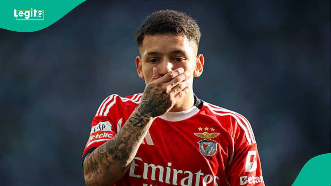 Benfica, Gianluca Prestianni, UEFA, Vinicius Jr, Argentina, Real Madrid Benfica, Gianluca Prestianni, UEFA, Vinicius Jr, Argentina, Real Madrid