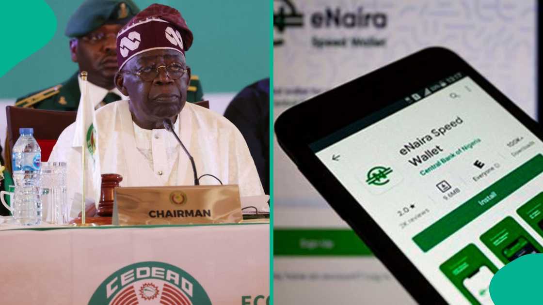 Expert explains why FG should pay civil servants with e-Naira Expert explains why FG should pay civil servants with e-Naira