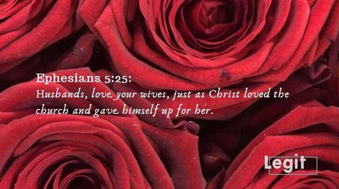 readings for weddings readings for weddings
