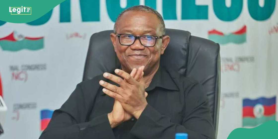 Peter Obi, tribunal, Bola Tinubu, INEC