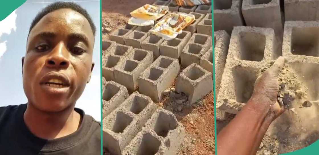 Cement price in Nigeria/Dangote and BUA cement. Cement price in Nigeria/Dangote and BUA cement.