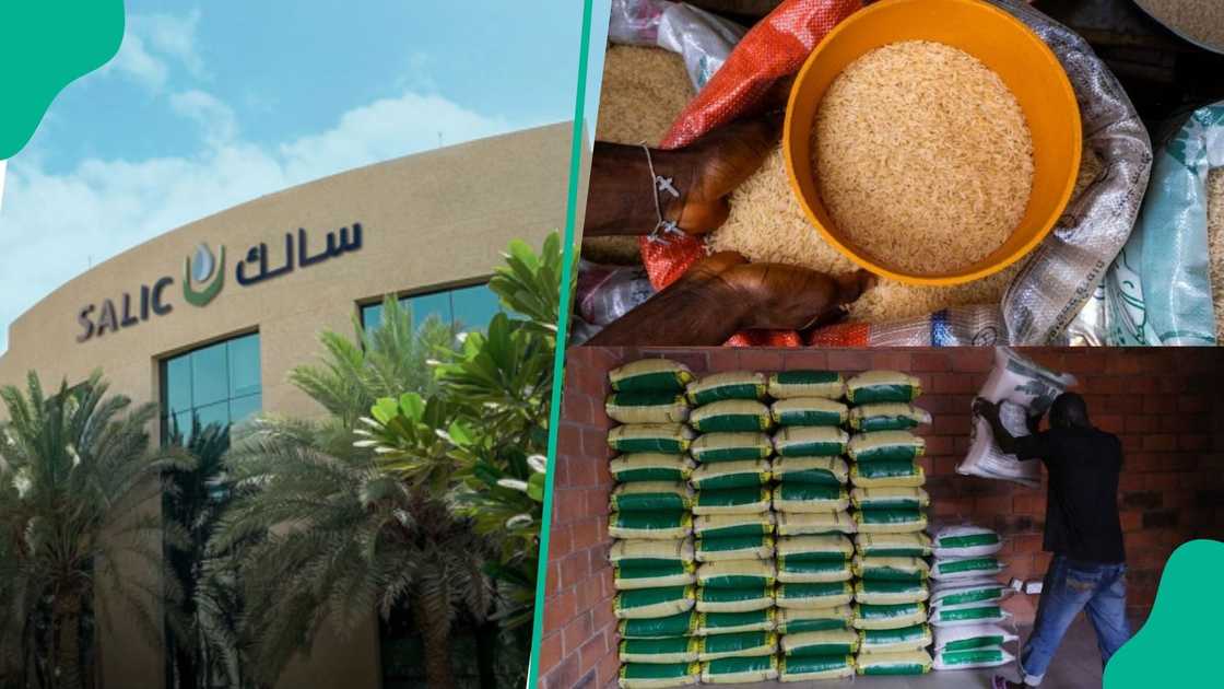 SALIC moves to buy 100 percent shareholding in Olam Agric SALIC moves to buy 100 percent shareholding in Olam Agric