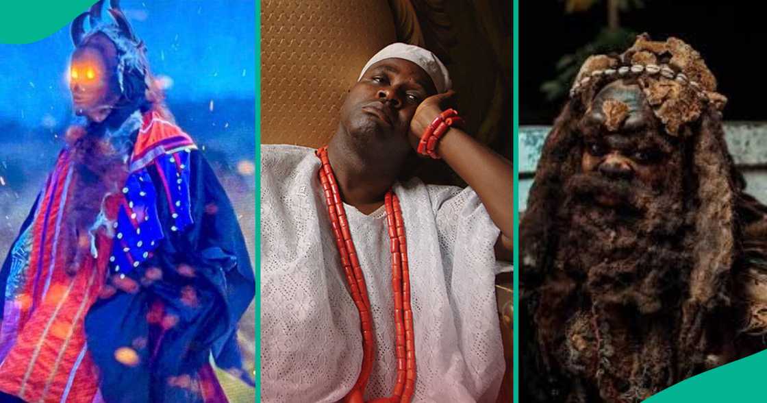 Femi Adebayo shares clips of Agemo and Esusu in combat. Femi Adebayo shares clips of Agemo and Esusu in combat.