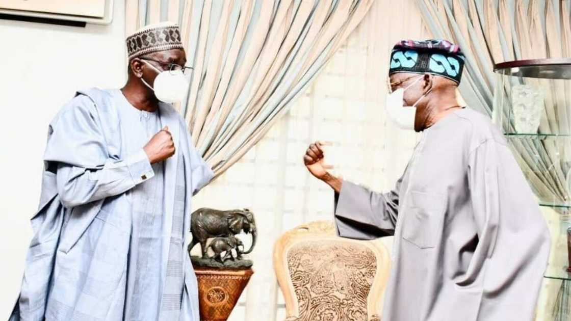 Bola Tinubu, Ibrahim Shekarau, APC, PDP, NNPP, 2023 presidential election Bola Tinubu, Ibrahim Shekarau, APC, PDP, NNPP, 2023 presidential election