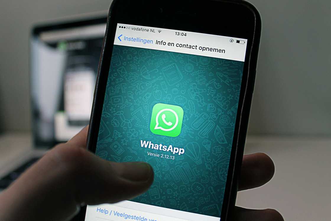 A person holding a smartphone looking at a WhatsApp application screenshot A person holding a smartphone looking at a WhatsApp application screenshot