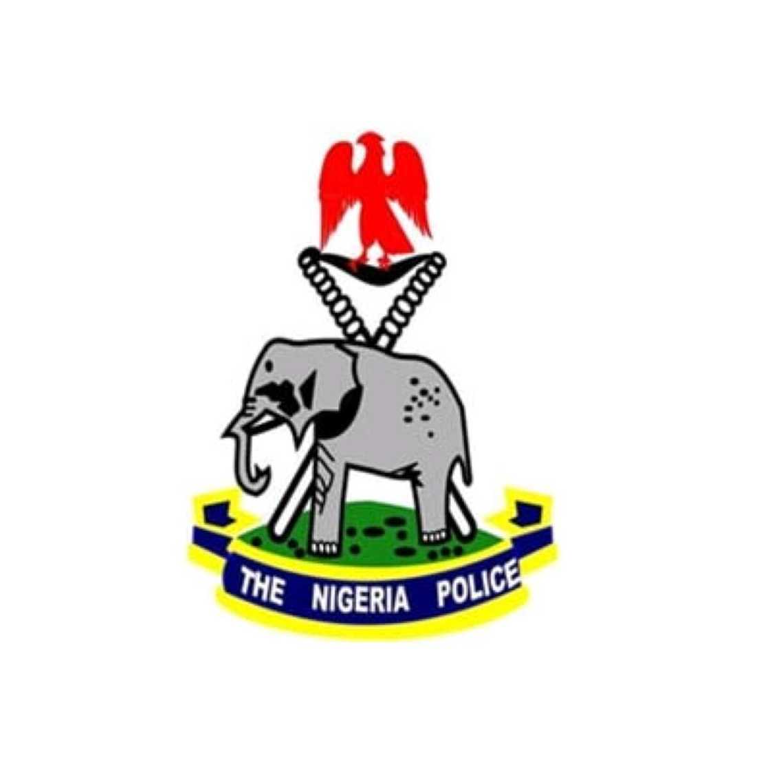 'Yan sanda 'Yan sanda