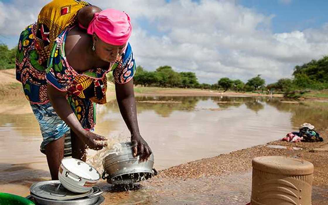 10 points on importance of water 10 points on importance of water