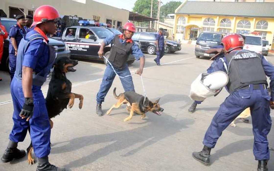 NSCDC NSCDC