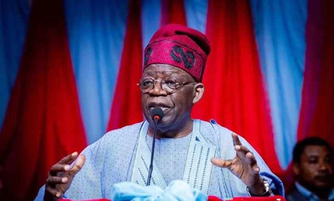 Tinubu Tinubu
