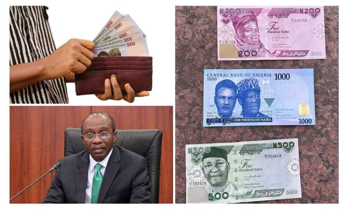 New naira notes, Nigeria