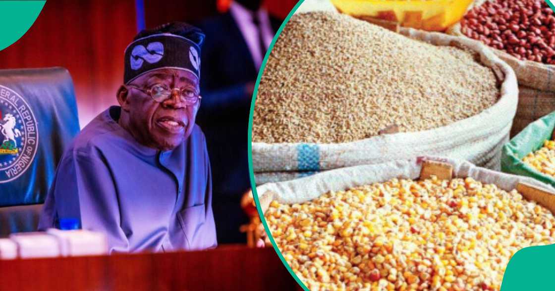 Shugaba Tinubu. Shugaba Tinubu.