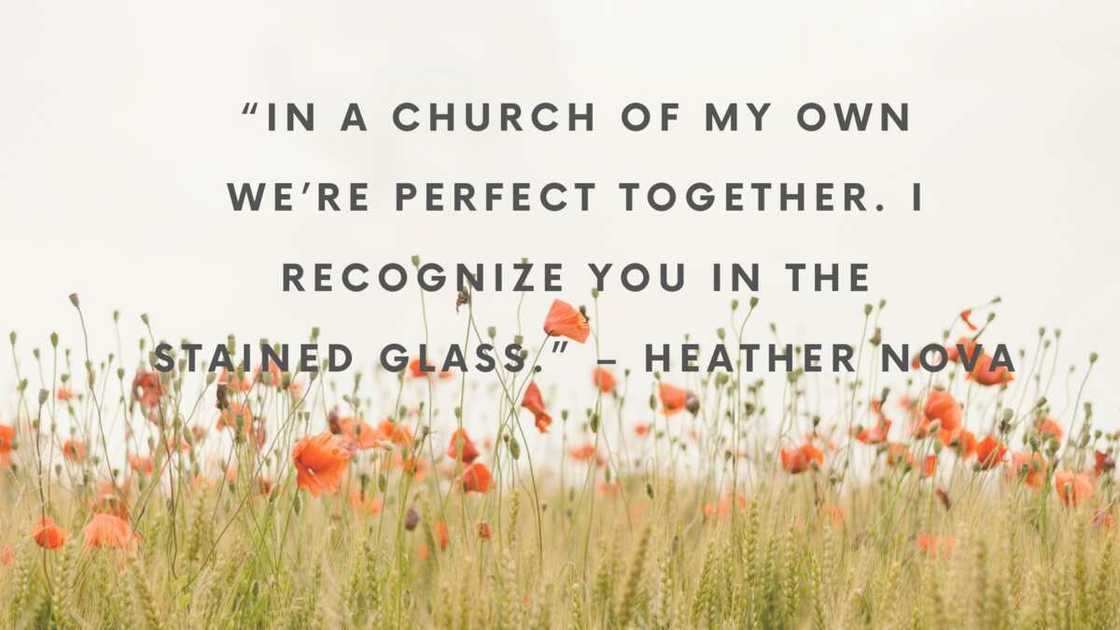 My soulmate quotes My soulmate quotes