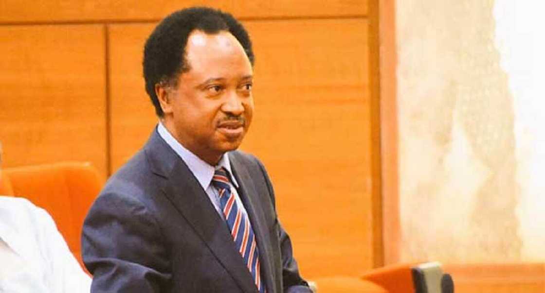 Yaran Kankara: Shehu Sani ya bai wa FG shawara a kan yadda za ta bai wa makarantu kariya