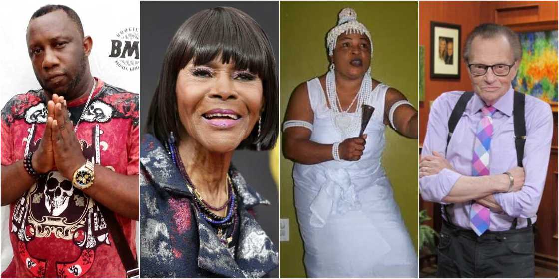 International and local celebs International and local celebs