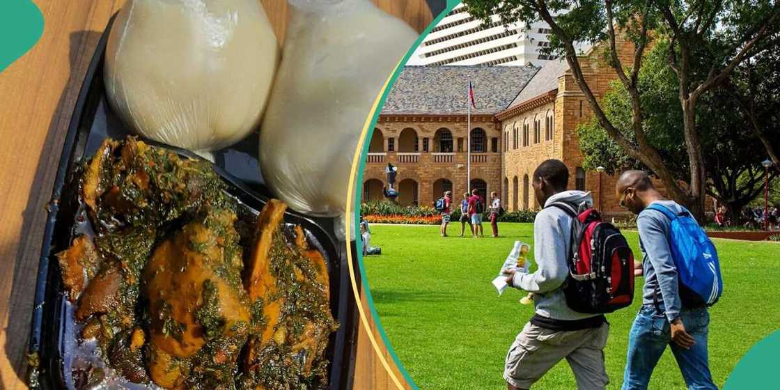 Kogi State University/Kogi State University latest news Kogi State University/Kogi State University latest news