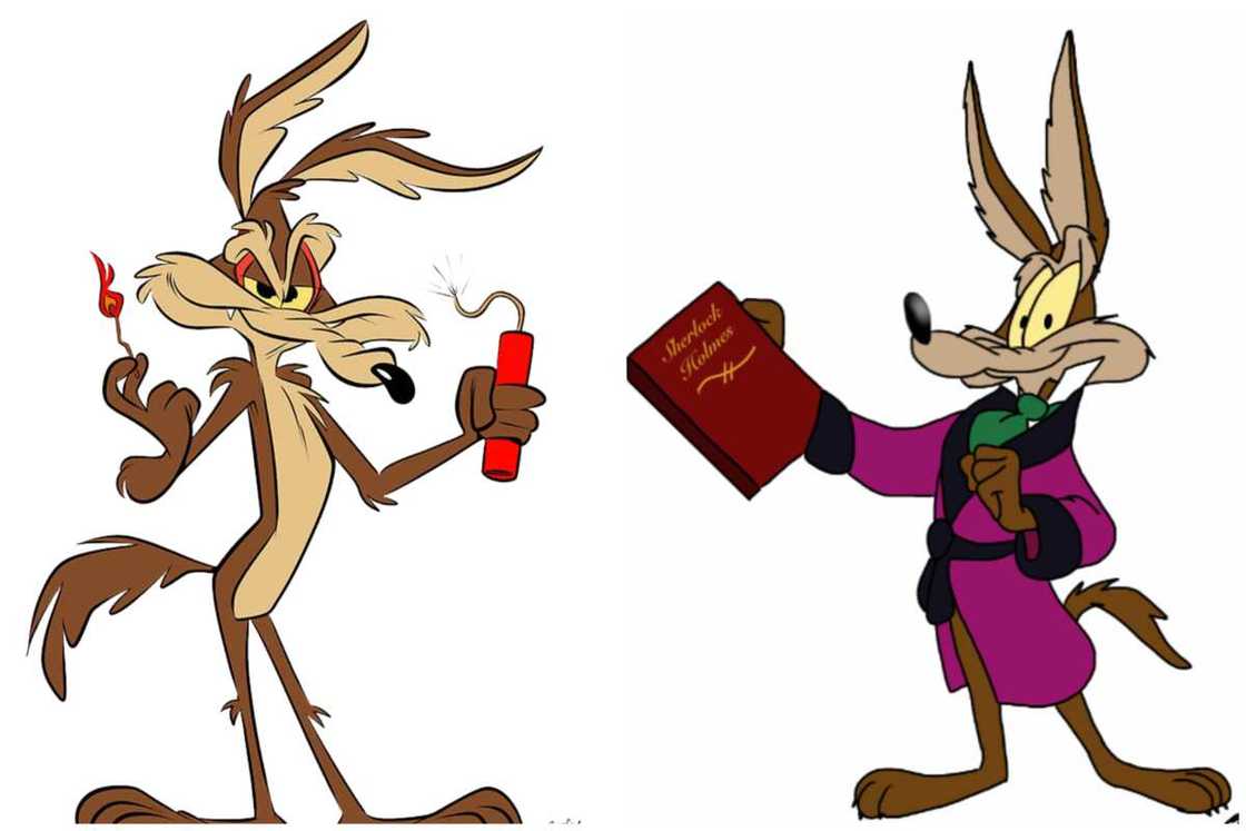 Wile E. Coyote, the ugly cartoon character Wile E. Coyote, the ugly cartoon character