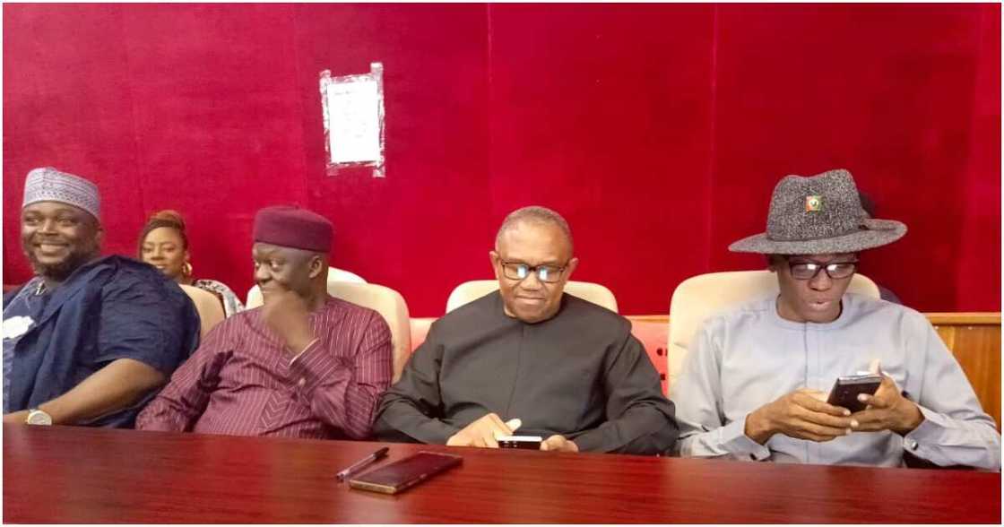 Peter Obi, tribunal, 2023 elections Peter Obi, tribunal, 2023 elections
