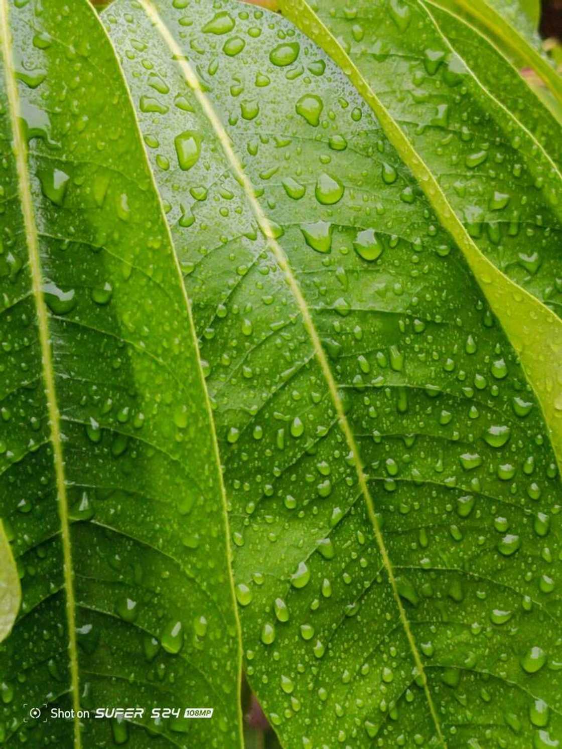 itel’s First 108MP Camera Smartphone With MediaTek G91 Chip Is Worth The Hype itel’s First 108MP Camera Smartphone With MediaTek G91 Chip Is Worth The Hype